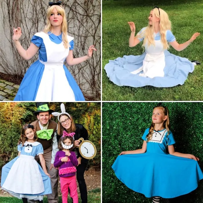 Diy alice and wonderland costume