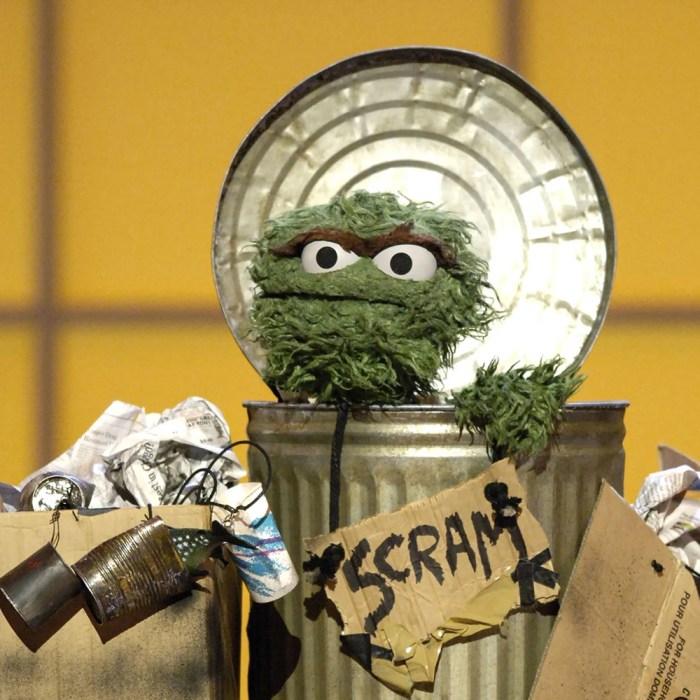 Oscar the grouch costume diy