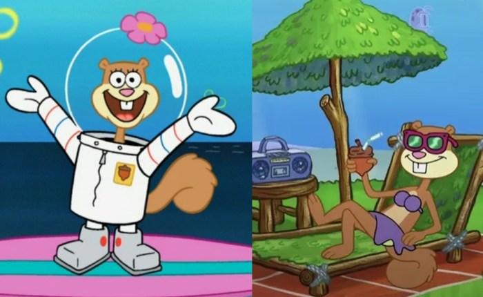 Sandy cheeks costume diy