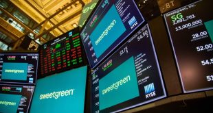 Sweetgreen stock price today