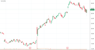 Tbgvx stock price