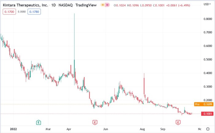 Summit therapeutics stock price