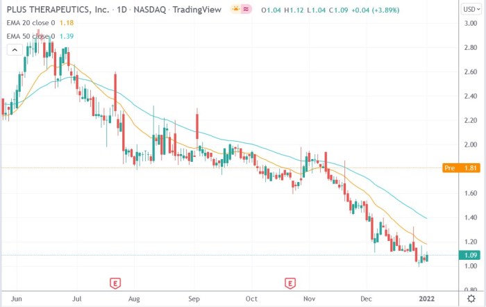 Summit therapeutics stock price