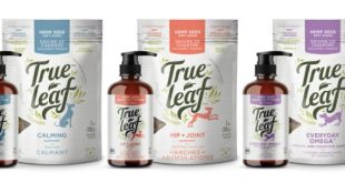 True leaf medicine stock price