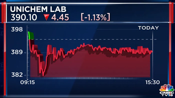 Unichem lab stock price