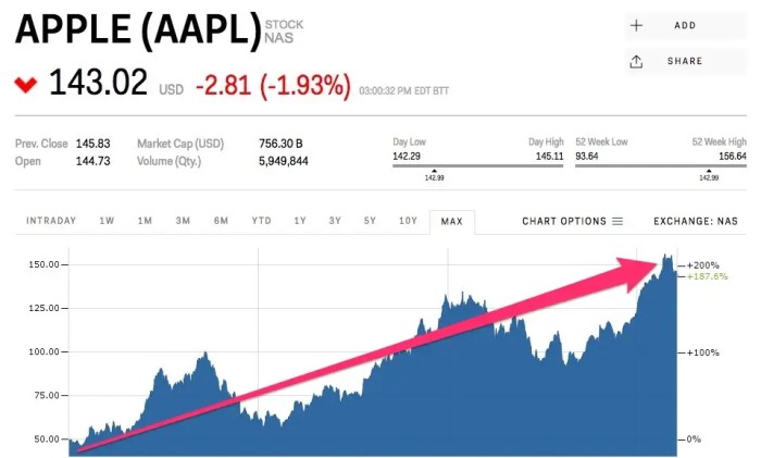 Tygo stock price