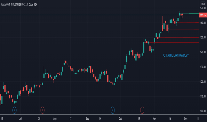 Vmi stock price