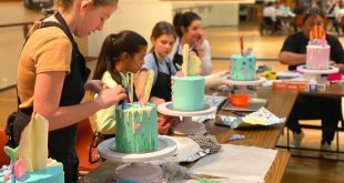 Courses on cake decorating