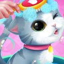 my-little-cat